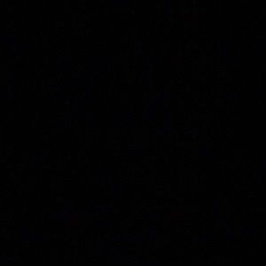 Meet your Posher, Dominick